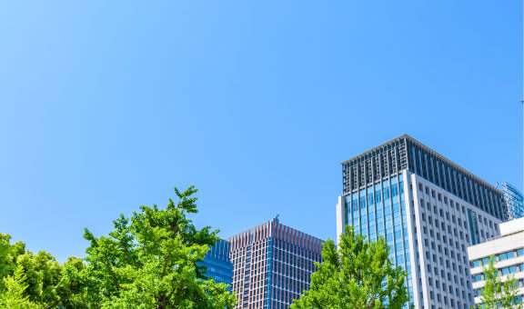 Company overview
