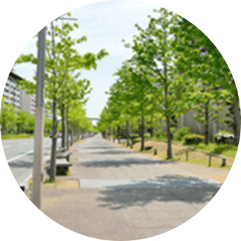 舗装道（歩道・車道）
